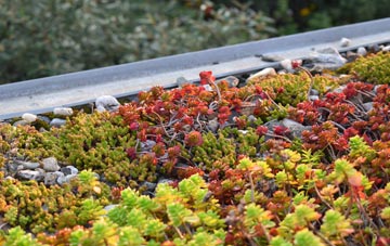 the cost of Lional green roof installation
