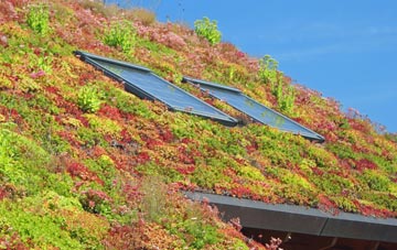 Lional living roof systems